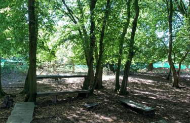 Hertford farm Woodland cabin pet friendly firepit bbq - Foto 41