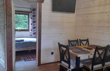 Mały Domek DOMARKA w BIESZCZADACH - Foto 23