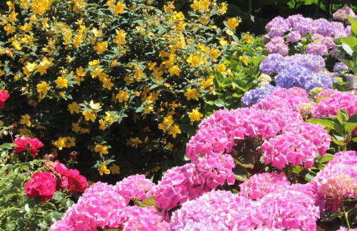 Le Manoir de KEROFIL - Foto 10