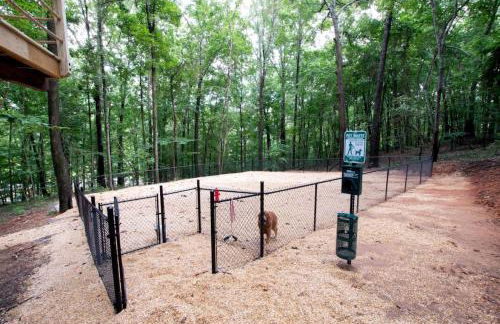 Off-grid Tree House Suitable for Four in Alabama - Foto 27