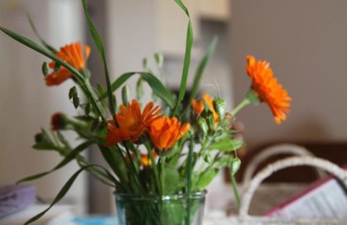 Green Cottages - Photo 57