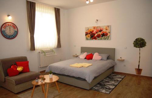 Studio apartmani Toplička bajka - Foto 23