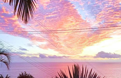 Gertrudes Dream House - Foto 35