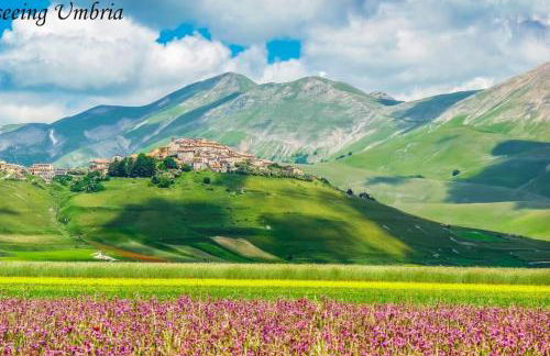 by Casamerina, villa with indoor and outdoor pool near Todi - Photo 70