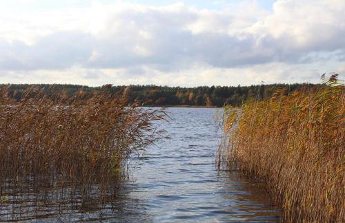 Ferienhaus Seeadler - Photo 25