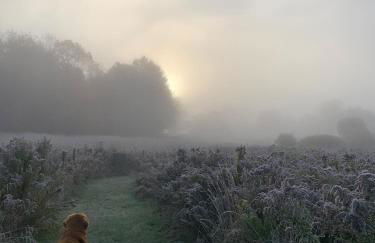 The Disco Den on Toad Road - Photo 14