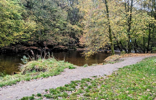 Host Stay Pied-a-terre at Manor View - Foto 10