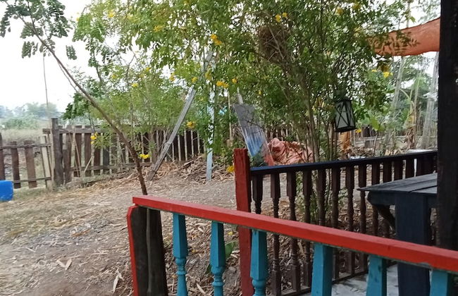 peaceland farmstay - Photo 51