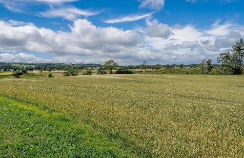 Turnip Cottage - Foto 28