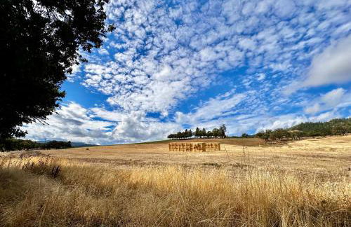 Farmhouse RV - Sunset Pergola - Fire Pit - Views - Foto 14