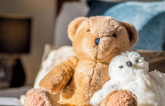 St. Tinney Farm - Photo 37