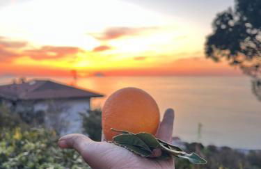 Casa Morello - Foto 67