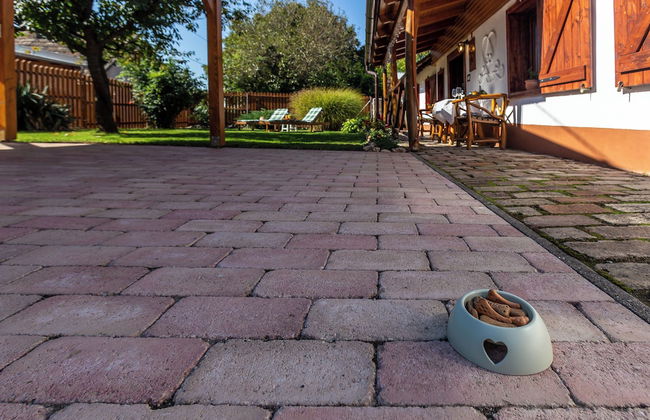 The Bird of Happiness-heaven for Dogs - Foto 31