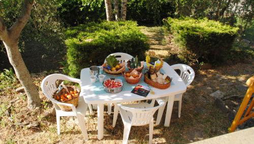 Il gelsomino del Perugino - Foto 5, Garden