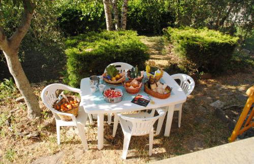 Il gelsomino del Perugino - Photo 5