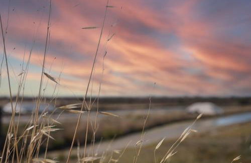 Le Parc des Mimosas - Foto 15