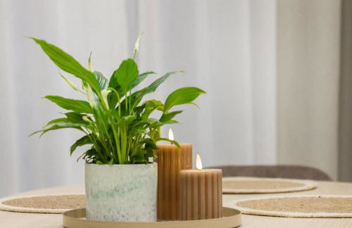 Luxury Apartment Kościuszki 9 - Apartament Vellore - Foto 13