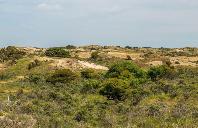 Comfortable Chalet, Dishwasher, Near the Sea in Noordwijk - Foto 38