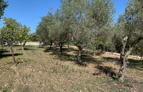 Villa Santa Lucia - Foto 43