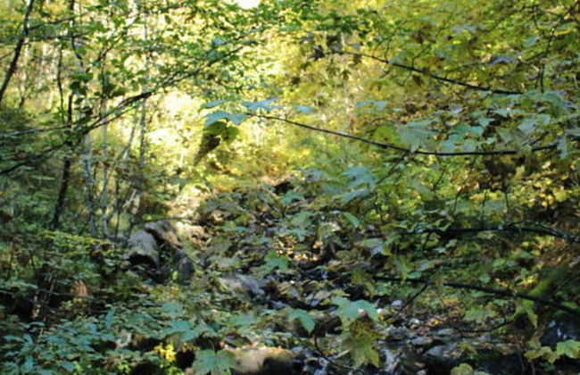 Holiday Apartment Rosi Denz - Photo 4