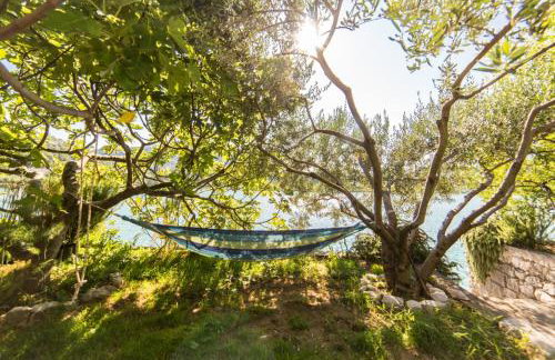 Apartments Barbir - Foto 17