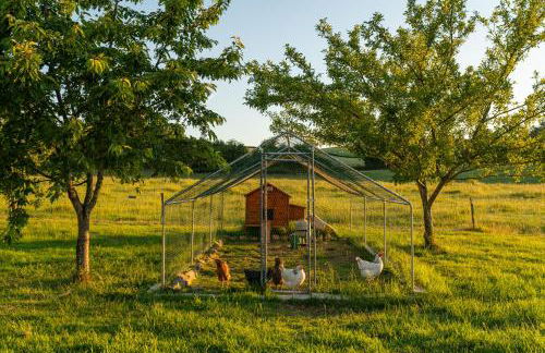 La Vallee des Elements - Foto 50