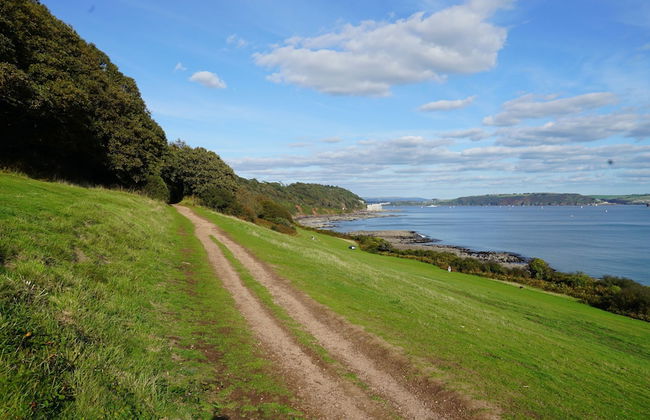 Blue Monkey - Foto 48