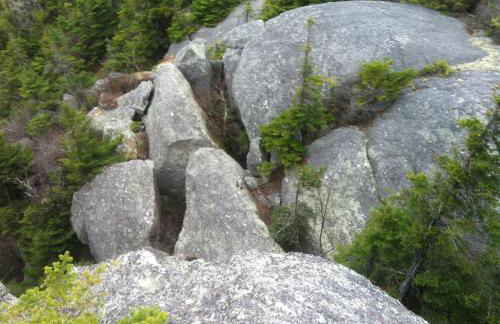 Meadow House Backcountry Residency - Foto 45