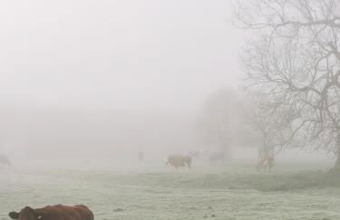 Bainvalley Cottages - Group Accommodation - Foto 39