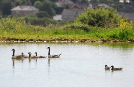 2 Bed in Whitwell oc-r33497 - Foto 20