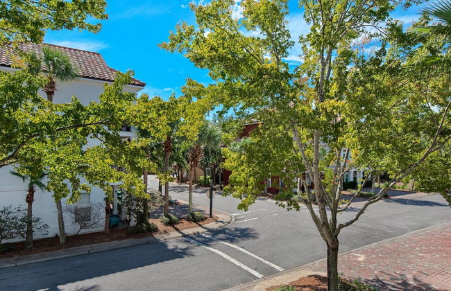 Shell Yeah! - Photo 49