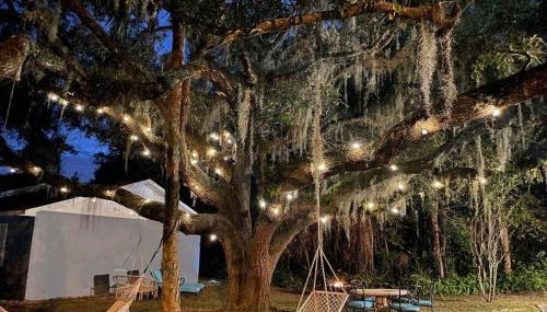 Nature Coast Getaway #2 - Comfy 2 Bedroom - Foto 3, Garden, Garden view