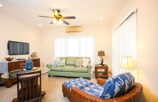 Lawson Rock - Angelfish 100 - Foto 6