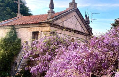 Quinta de Ribas - Foto 6