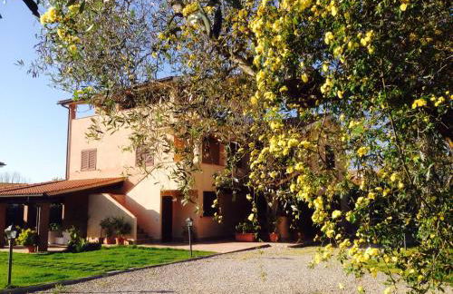 Appartamenti Gli Ulivi Di Maremma - Foto 9