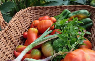 Agriturismo Cafaggio Primo - Foto 71