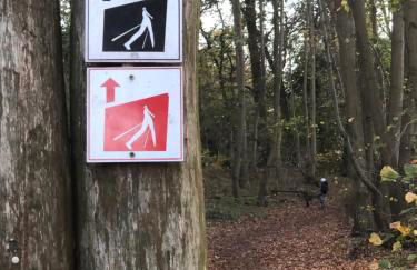 FeWo Erholsame Auszeit - Foto 8