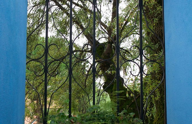 Casa dos Arrábidos - Foto 23