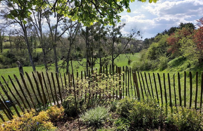 Tranquil Stay in Ardennes - Photo 38