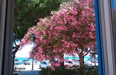 Il Cristallo del mare - Photo 2