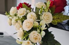 Dimi Living Oberhausen & mit Küche - Foto 17