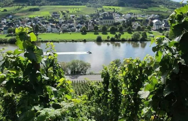 Holiday Apartment Moselle Beach 1 - Photo 14