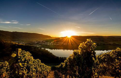 Haus Sybille - Foto 42