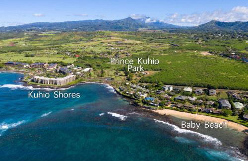 Prince Kuhio 110 - Foto 54