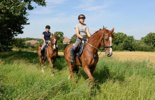 Ferien und Pferdehof Gut Klein Nienhagen - Foto 16
