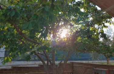 casa villa degli ulivi - Foto 21