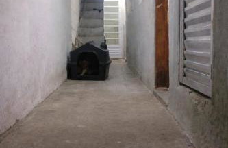 Hilda Leopoldina - Foto 1