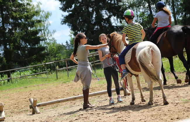agroturystyka Kurnik Polski - Foto 25