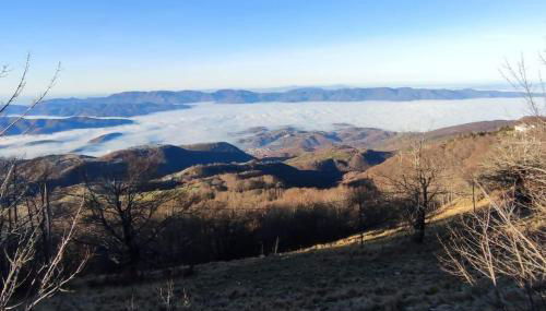 Sguardo nel bosco - Appartamento - Terminillo - Foto 2