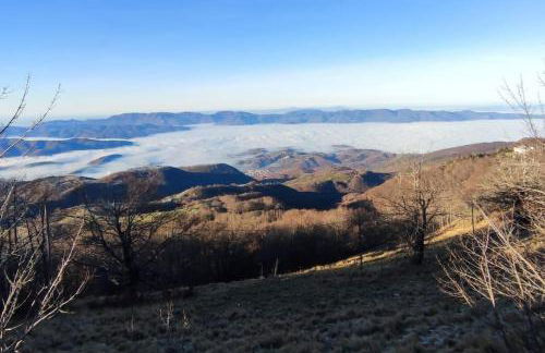 Sguardo nel bosco - Appartamento - Terminillo - Foto 2